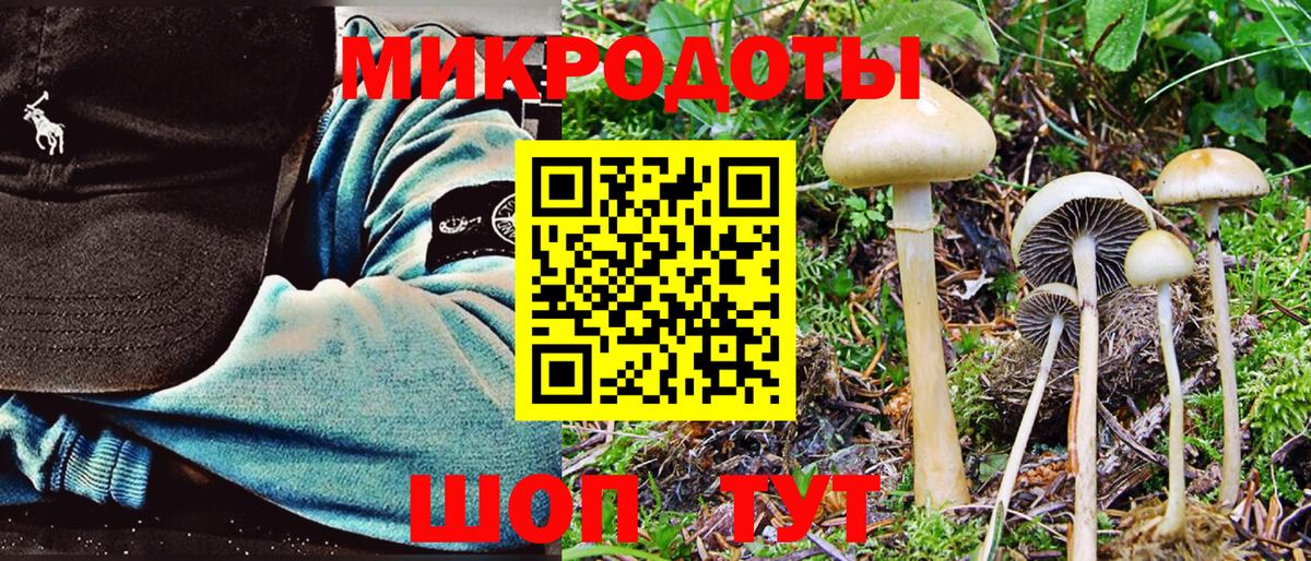 Псилоцибиновые грибы ЛСД Алатырь