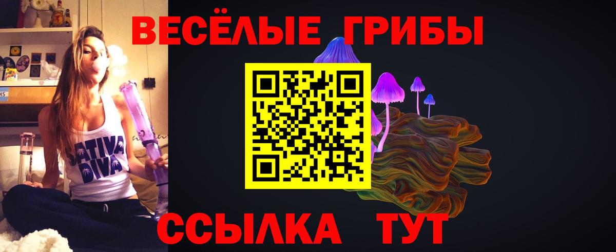 Галлюциногенные грибы ЛСД  Вход с VPN  Галлюциногенные грибы Magic Shrooms  Алатырь 